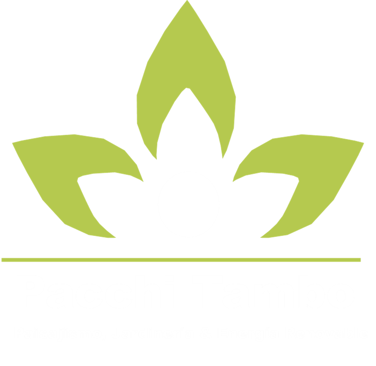 pacchi-tambo.com