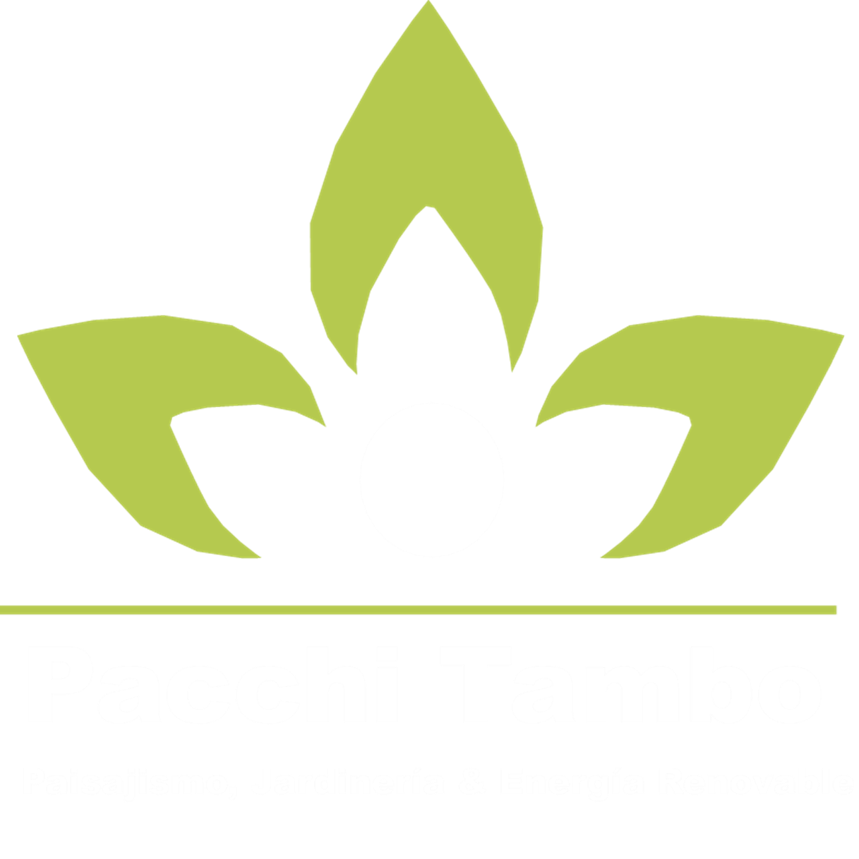 Pacchi Tambo