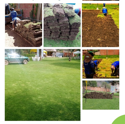 Instalación de Grass